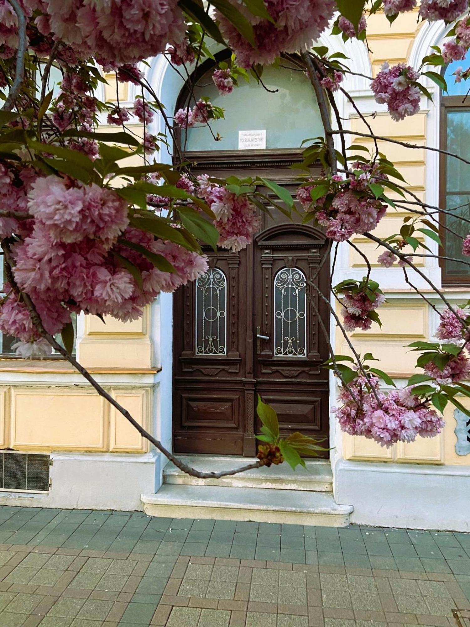 Silentium City Apartman Шарвар Екстер'єр фото
